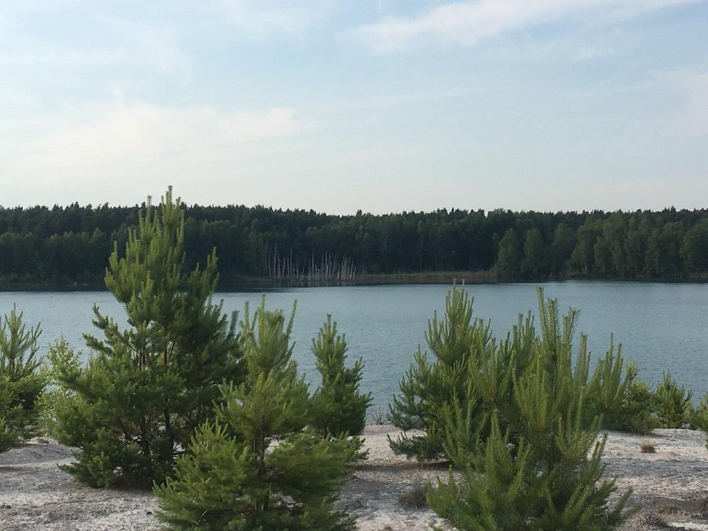 Ferienwohnung Am Schiederdamm Schwandorf in Bayern Rom bilde